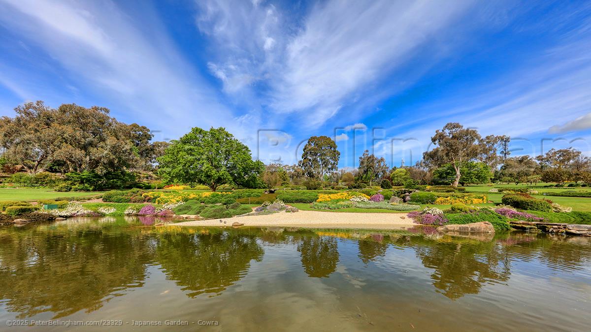 Peter Bellingham Photography Japanese Garden - Cowra